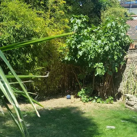 Apartamento Loft Centre-ville 150m² - Jardin Avec Jacuzzi *