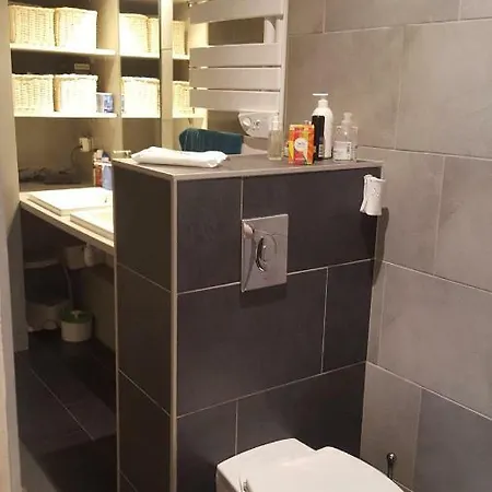Loft Centre-ville 150m² - Jardin Avec Jacuzzi Strasbourg