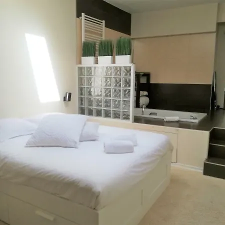 Loft Centre-ville 150m² - Jardin Avec Jacuzzi